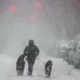 A man walks dogs on the street through the snow on Feb. 01, 2021.